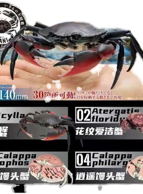万代生物大图鉴系列扭蛋螃蟹馒头蟹可动模型