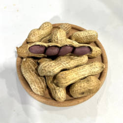 临安乐嘴杭生记新品临安天目笋干煮花生带壳熟小花生微咸现煮现发