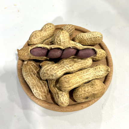 临安乐嘴杭生记新品临安天目笋干煮花生带壳熟小花生微咸现煮现发