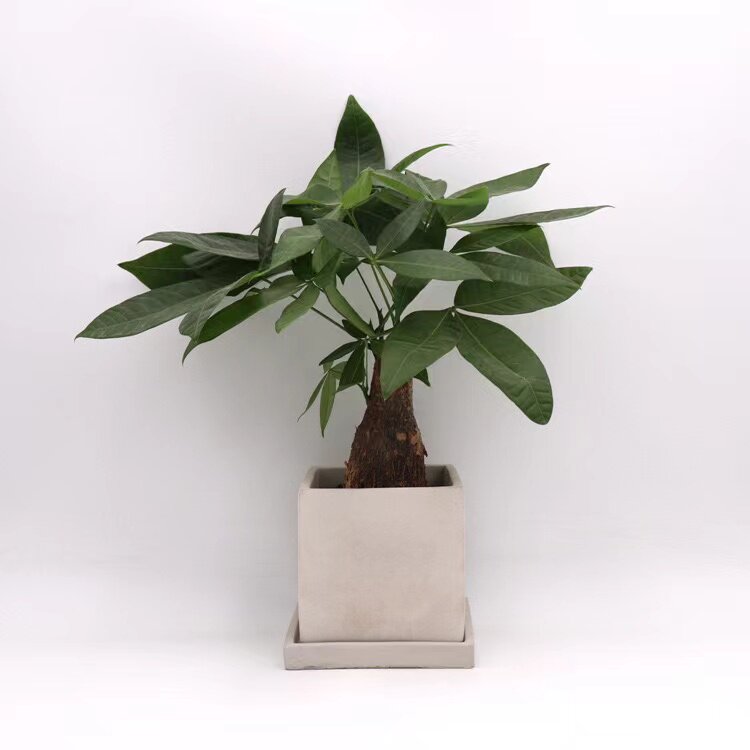 北欧风格正方形水泥多肉植物花盆现代简欧创意家居绿植透气花器