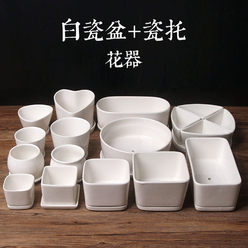 肉肉圆形白瓷带瓷托底小花盆