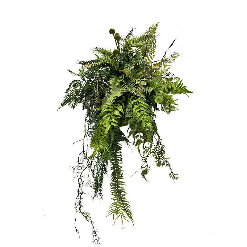 仿真绿植造景蕨叶含羞草水草空气草家用室内墙壁挂饰商用藤条摆件