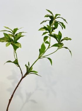 留夏高端轻奢马醉木仿真花树枝仿生绿植造景客厅盆栽摆设假花装饰