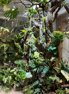 仿真热带植物绿枝造景
