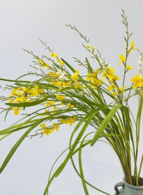留夏仿真孔雀兰客厅摆设绿植样板房婚礼布置花艺设计