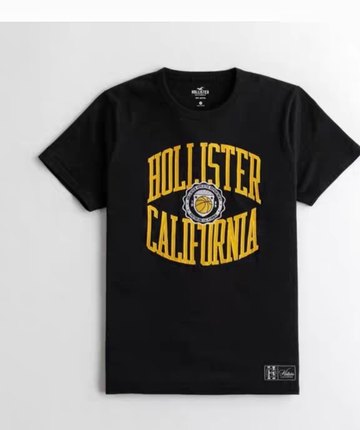 正品全新Hollister潮流刺绣 Logo 图案 T 恤 男