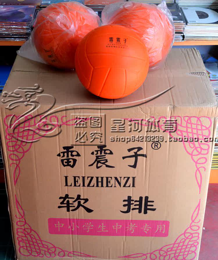 Ballon de volley-ball - Ref 2010911 Image 3