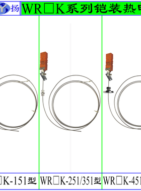 WRNK-151 Φ4mm 铠装热电偶 扁插件型 WREK2-251 351 451 551