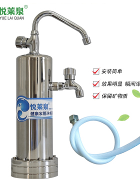 台式双龙头不锈钢厨房净水器超滤
