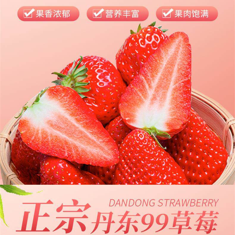 正宗丹东市东港核心产区99草莓果香浓郁营养丰富果肉饱满