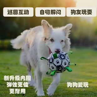 出口品质狗狗边牧金毛拉拉柯基巡回足球互动玩具训练玩具升级耐咬