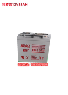 电梯应急系统专用 直流屏照明 科罗吉12V38AH蓄电池UPS 消防主机