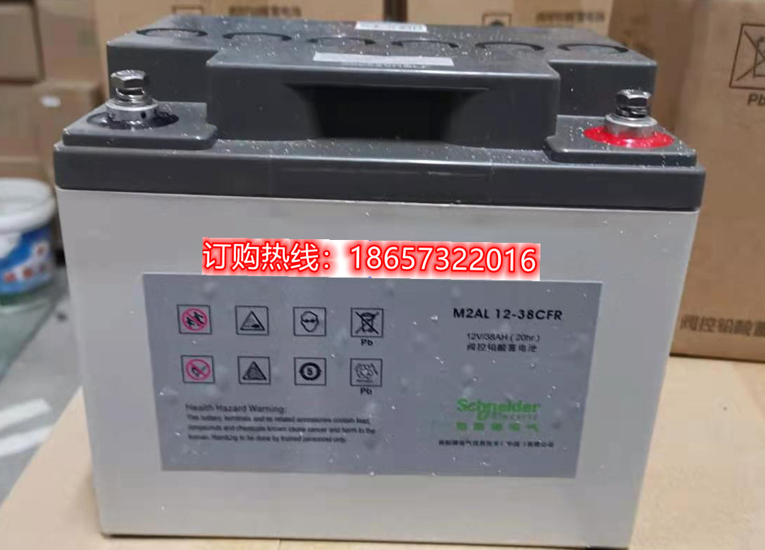 施耐德 M2AL 12-38CFR原厂免维护密封铅酸蓄电池 12V 38AH电池