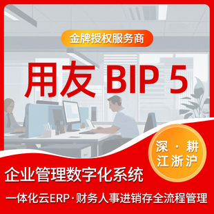 用友 YonBIP 部署服务 数据迁移 二次开发 大型企业数智化方案