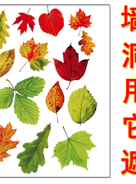 遮丑贴纸家用装饰门贴