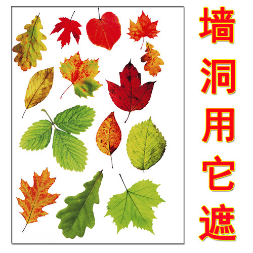 遮丑贴纸家用装饰门贴