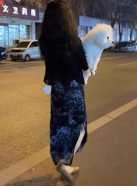 26055新大爱美依缘2026纯欲风墨染复古修身开叉连衣裙防晒外套女