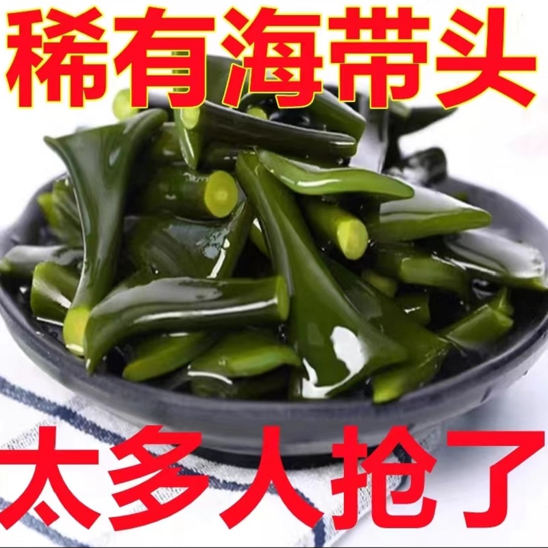 霞浦精品海带头根盐渍海带块厚实软糯非干货新鲜煲汤火锅2025新品