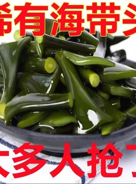 霞浦精品海带头根盐渍海带块厚实软糯非干货新鲜煲汤火锅2025新品