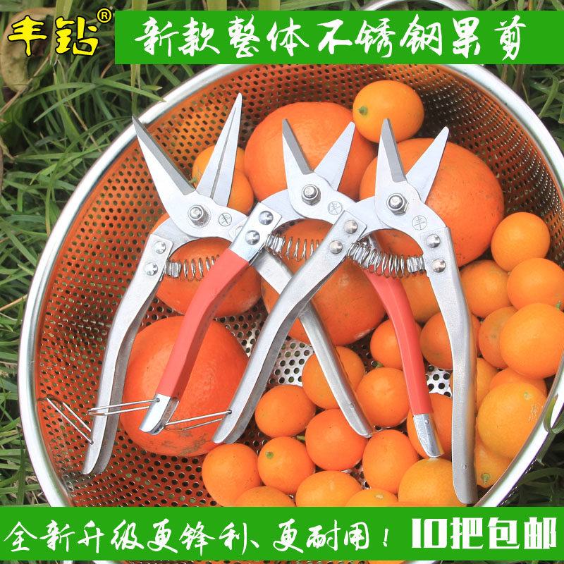 丰钻不锈钢摘果剪刀采柑桔剪蔬果剪花艺剪家用剪果树剪刀修枝剪刀