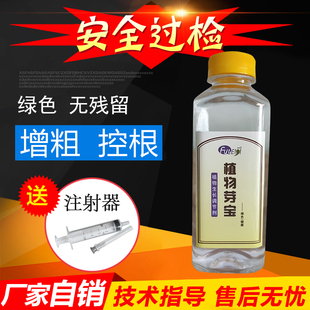 植物芽宝豆芽专用药豆芽免检添加剂黄豆黑豆绿豆防止长侧根增粗剂