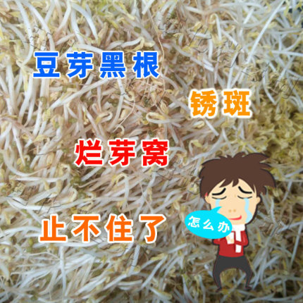 钰化牌豆芽消毒剂特效消毒粉黑根烂根锈斑豆芽烂菜专用杀菌剂包邮