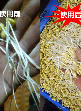 豆芽无根剂控根剂豆芽无根素