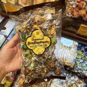 国内现货发日本大阪道顿堀minamoalley巧克力棒棒糖儿童零食礼物