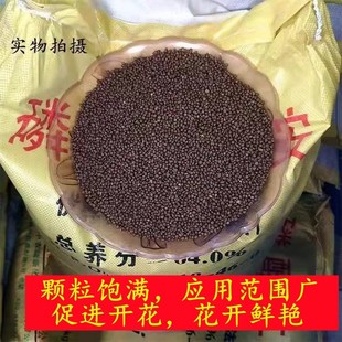 磷酸二铵复合肥64肥料家用蔬菜花卉果树盆栽通用型复合肥化肥100