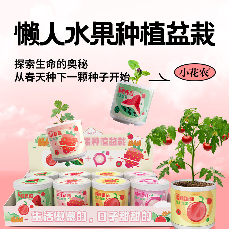 趣味懒人水果种植盆栽成熟后食用西瓜草莓番茄萝卜种子办公室风景