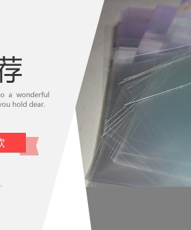 加厚单碟防潮收纳右侧封套