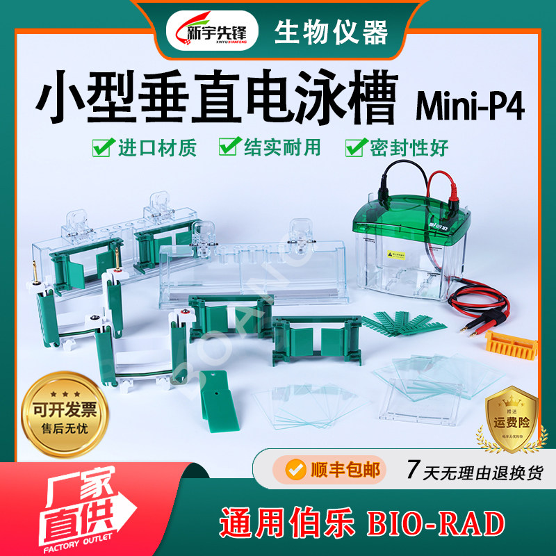 WB垂直电泳槽4块胶转膜槽套装通用伯乐Bio-Rad电泳仪电源600MA