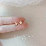 [闊╁浗缃戠孩绮捐嚧灏忚€抽拤濂?023骞存柊娆炬疆灏忎紬璁捐楂樼骇鎰熻€崇幆姘旇川鑰抽グ]