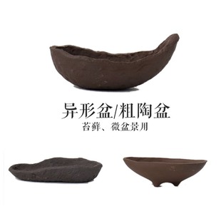 宜兴紫砂花盆全手工异形南蛮盆盆景盆菖蒲盆