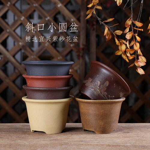 自在屋紫砂花盆小号斜口边小圆盆铁画轩复古中国风盆景绿植多肉