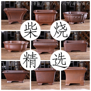 自在屋精选紫砂花盆 王飞款柴烧盆景盆01 中大号四方六方葵式海棠