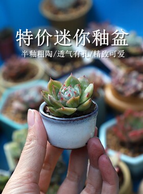 自在陶半釉迷你多肉花盆微型