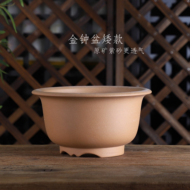 自在屋精选春秋款精品紫砂兰花盆/矮金钟/圆口盆矮种兰花春兰寒兰