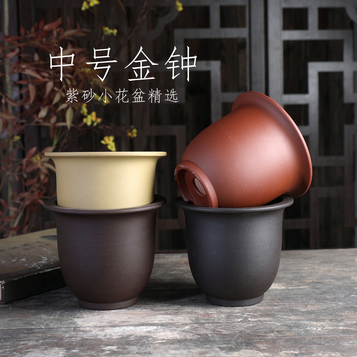 四色中金钟  紫砂中号花盆绿植桌面中式室内桌面兰花春兰寒兰盆景