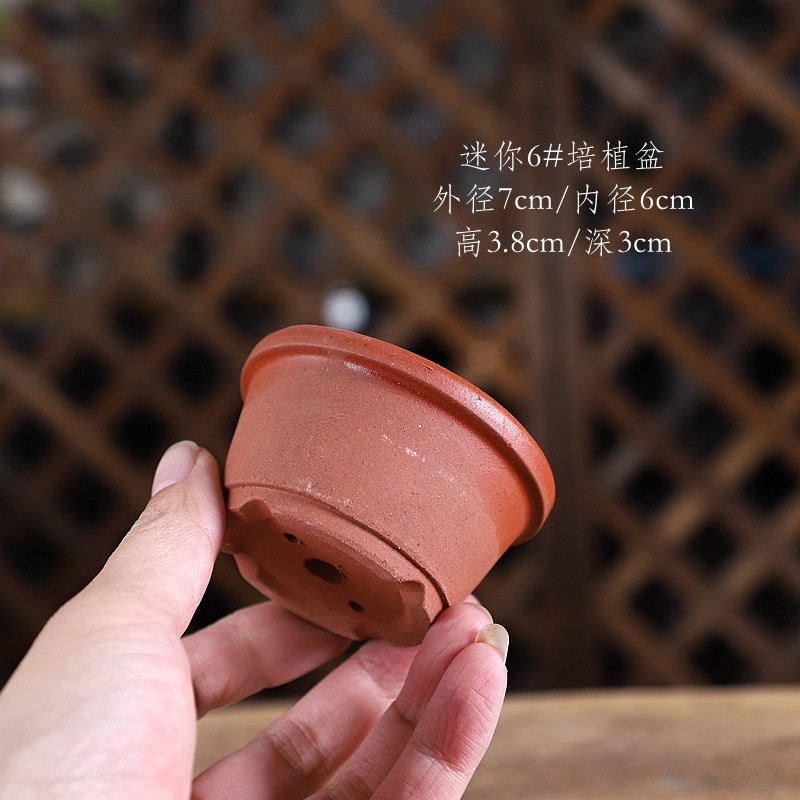 自在屋红陶花盆迷你6#培植盆盆景绿植控养透气吸水多肉掌中宝,鲜花速递/花卉仿真/绿植园艺,花盆,淘宝优惠券,粉丝福利购,淘宝优惠卷