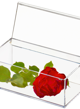 E520长方形透明塑料盒化妆棉盒棉签护肤品收纳盒橱窗样品展示盒