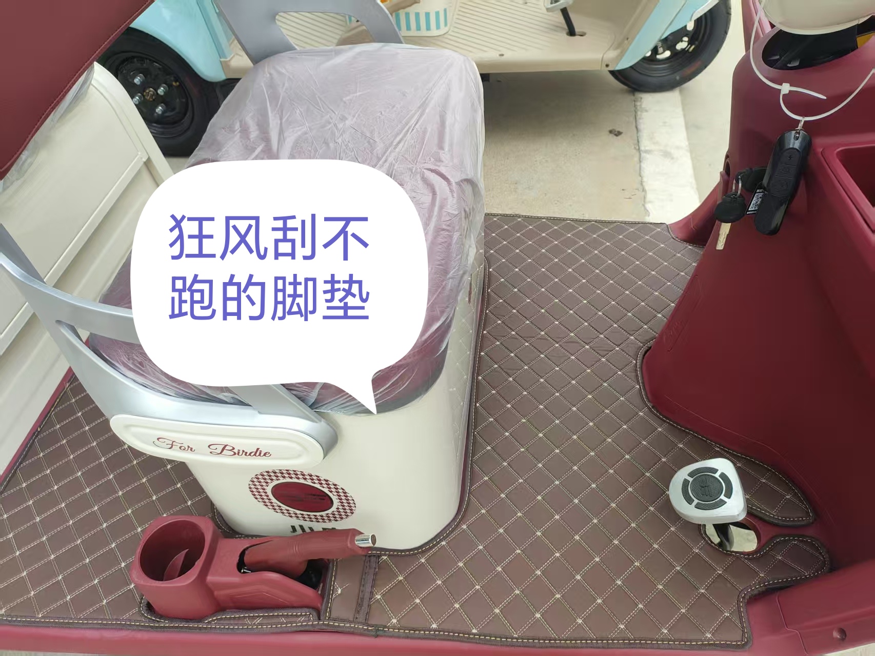 小鸟Q8一体脚垫电动车脚垫Q8脚垫皮革脚垫防滑防水易清洗好打理