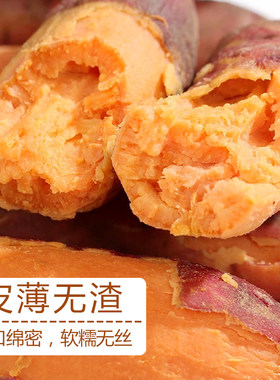 兰考沙地蜜薯红薯地瓜新鲜番薯
