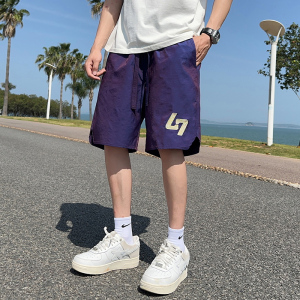 夏季薄款潮流男士青年沙滩裤网红ins休闲刺绣短裤松紧腰DK101-P23图片