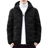 冬季棉衣新款男士连帽短款潮流加厚棉服外套大码1988/922-P40，男装棉衣，星座1403B