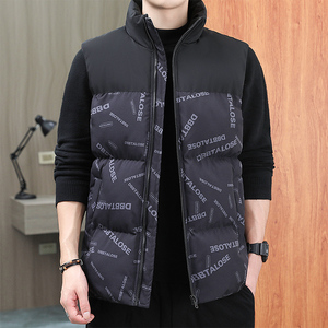 秋冬立领男士棉服外套男装马甲保暖马夹休闲棉衣背心上衣MJ99-P35图片