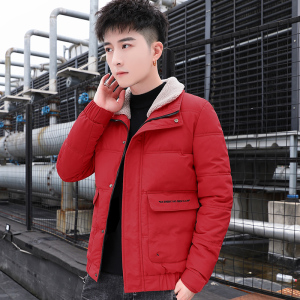 冬季男士外套毛领棉衣修身潮流保暖休闲棉服翻领短款棉袄828-P70图片