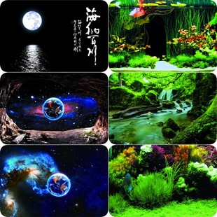 饰5d 鱼缸背景纸画高清图3d立体壁纸水族箱贴纸海底水草壁画造景装