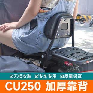 适用隆鑫无极CU250后靠背后座腰托软LX250-22改装腰靠垫扶手尾翼