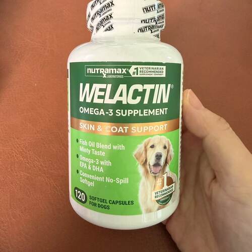 Omega-3软胶囊狗狗皮肤毛发健康